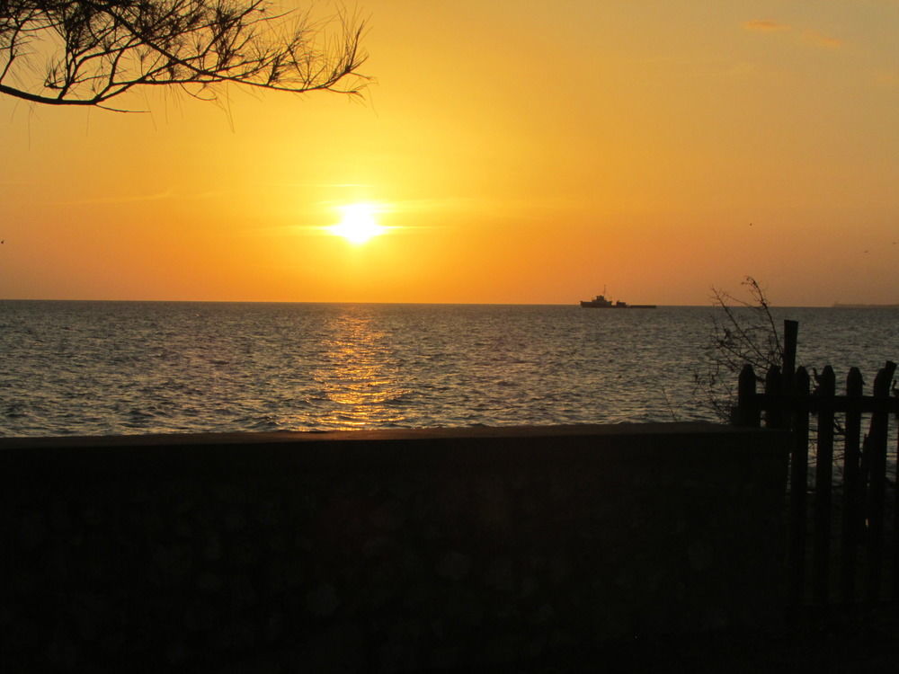 Ocho Rios Villa At Coolshade IV Saint Annʼs Bay Eksteriør billede