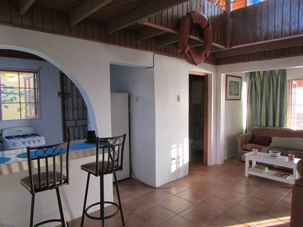 Ocho Rios Villa At Coolshade IV Saint Annʼs Bay Eksteriør billede
